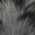 Mini Aussie Farben Mini Aussie Farben