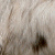 Mini Aussie Farben Mini Aussie Farben
