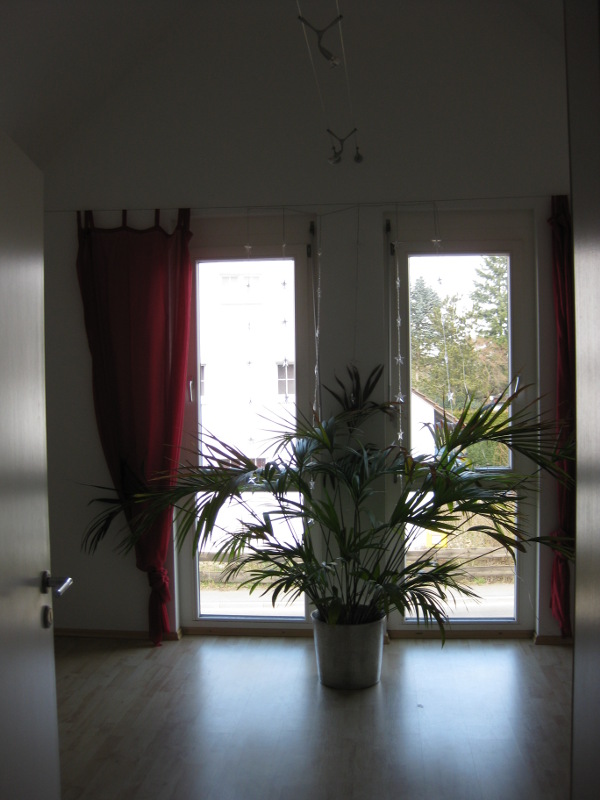 Haus