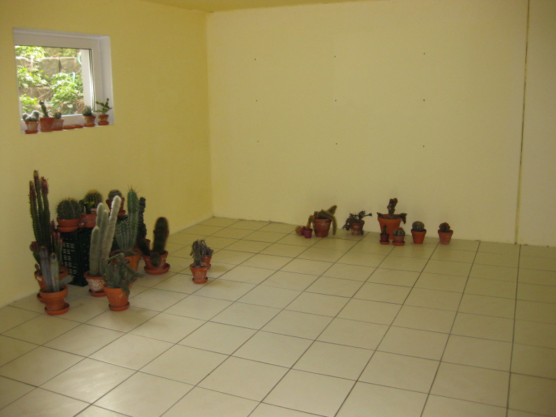 Haus
