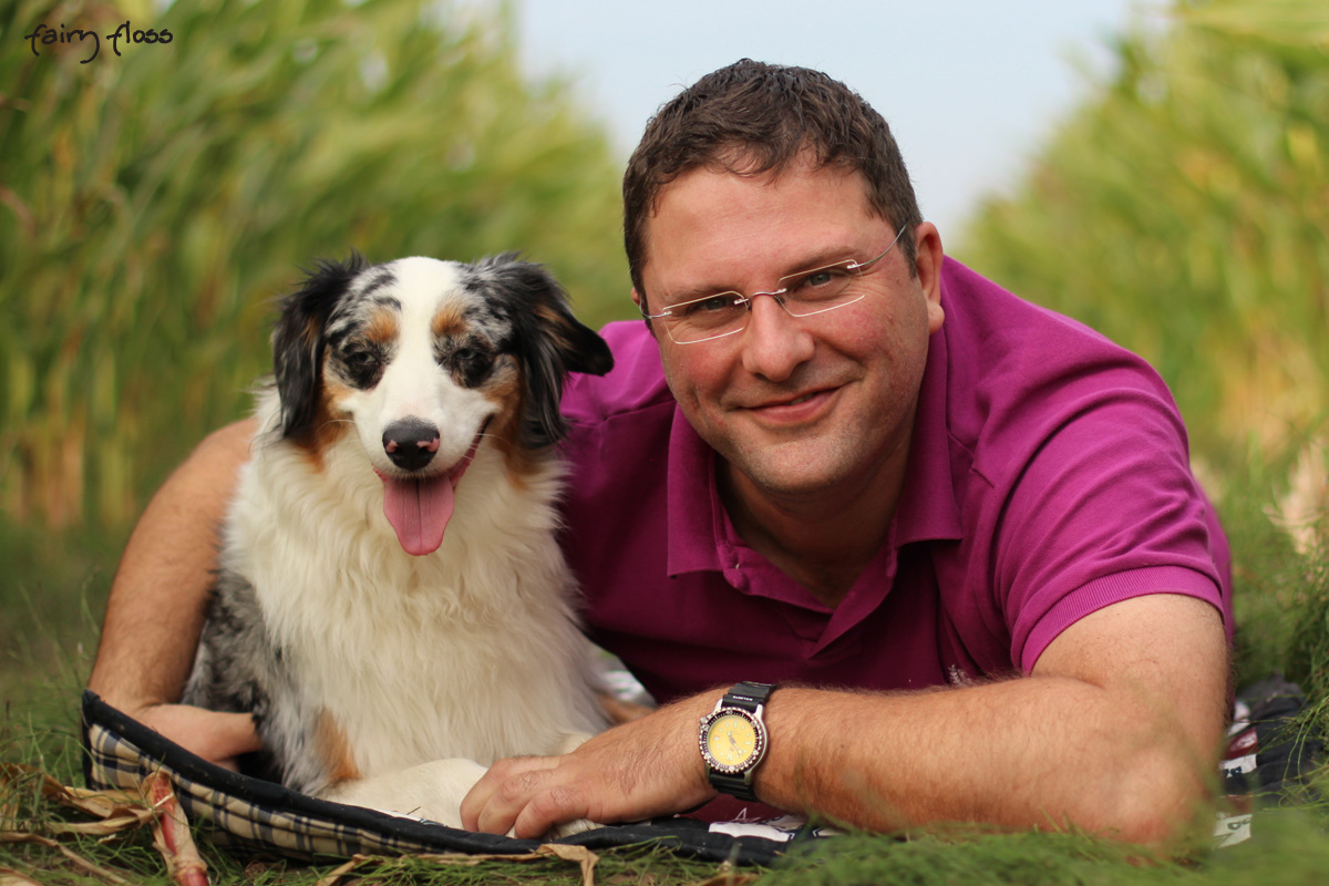 Mini Aussie Züchter