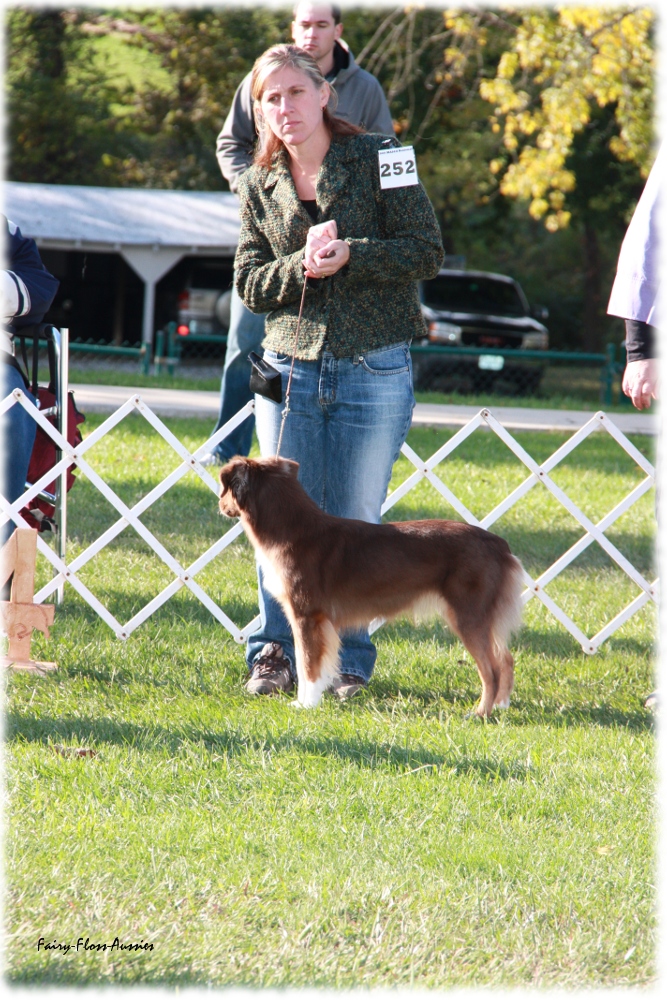 Mini Aussie Nationals Mini Aussie Nationals