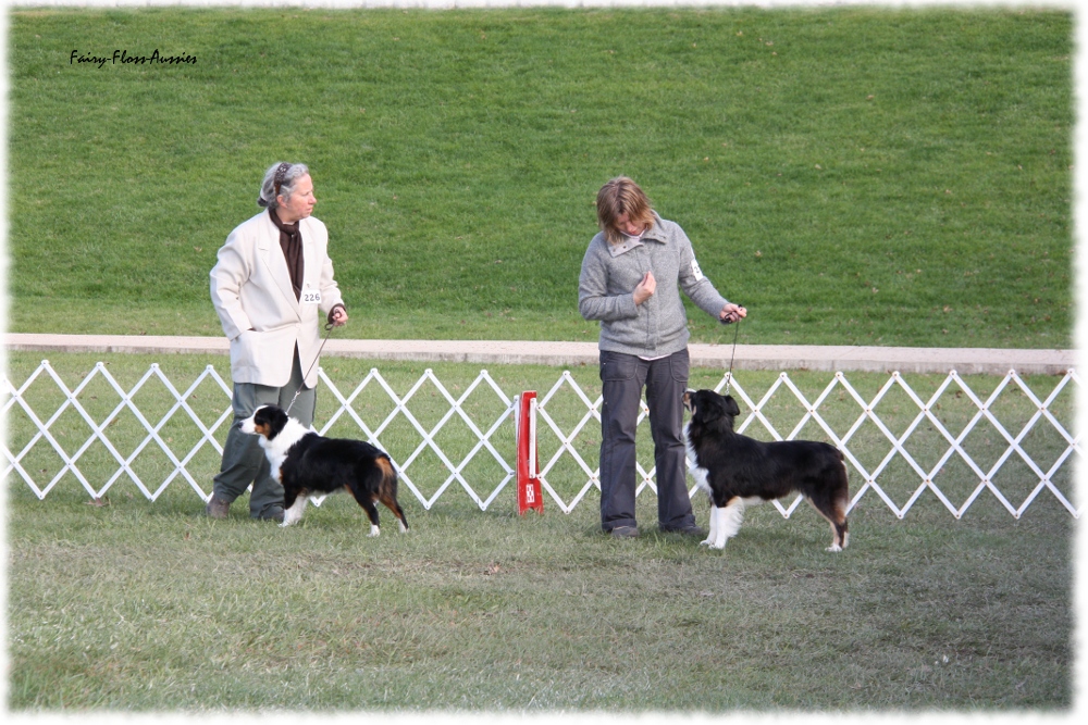 Mini Aussie Nationals Mini Aussie Nationals