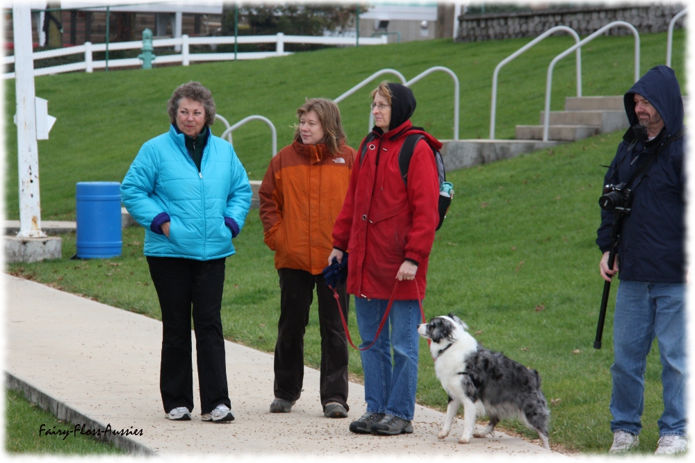 Mini Aussie Nationals