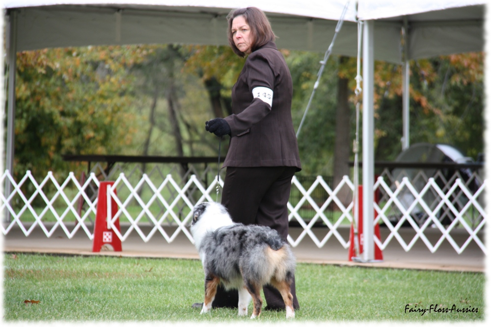 Mini Aussie Nationals Mini Aussie Nationals