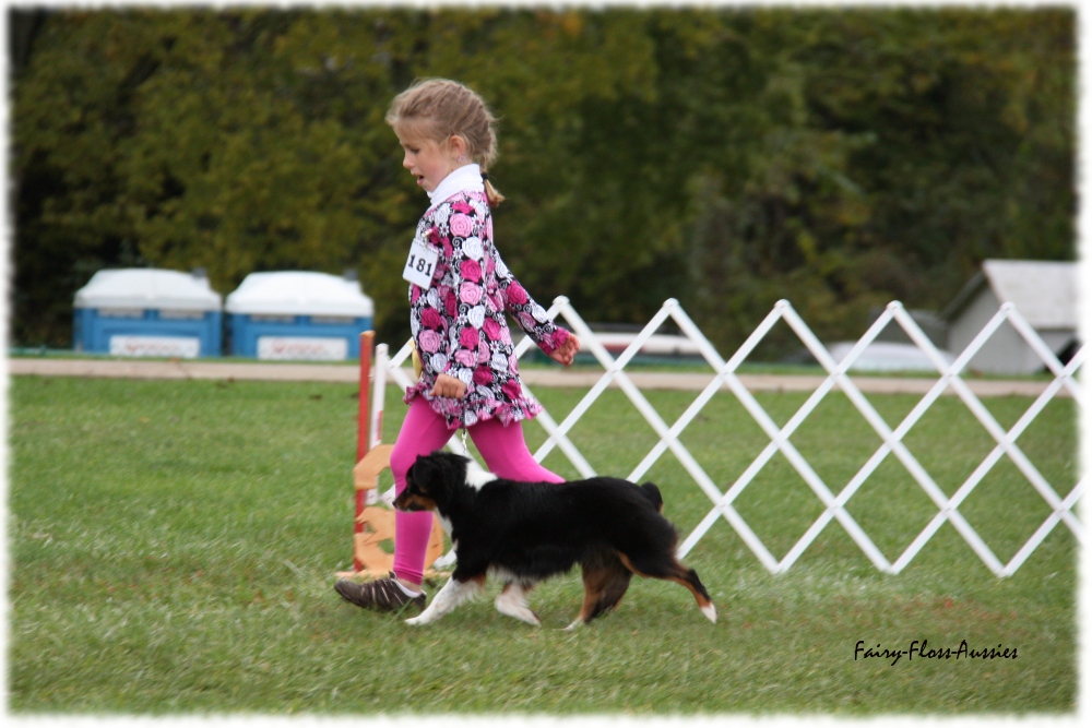 Mini Aussie Nationals Mini Aussie Nationals