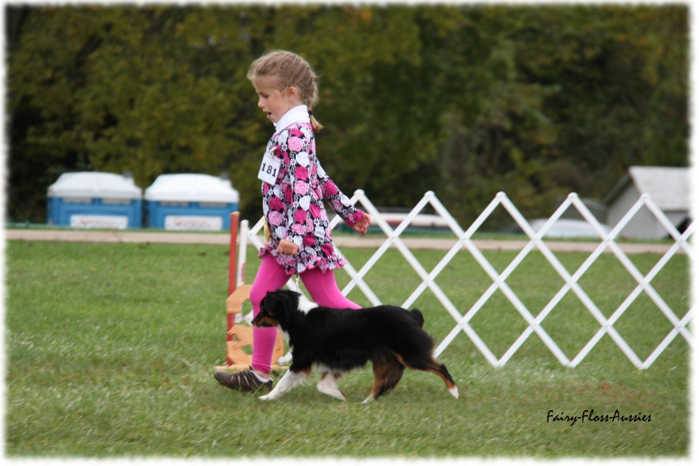 Mini Aussie Nationals