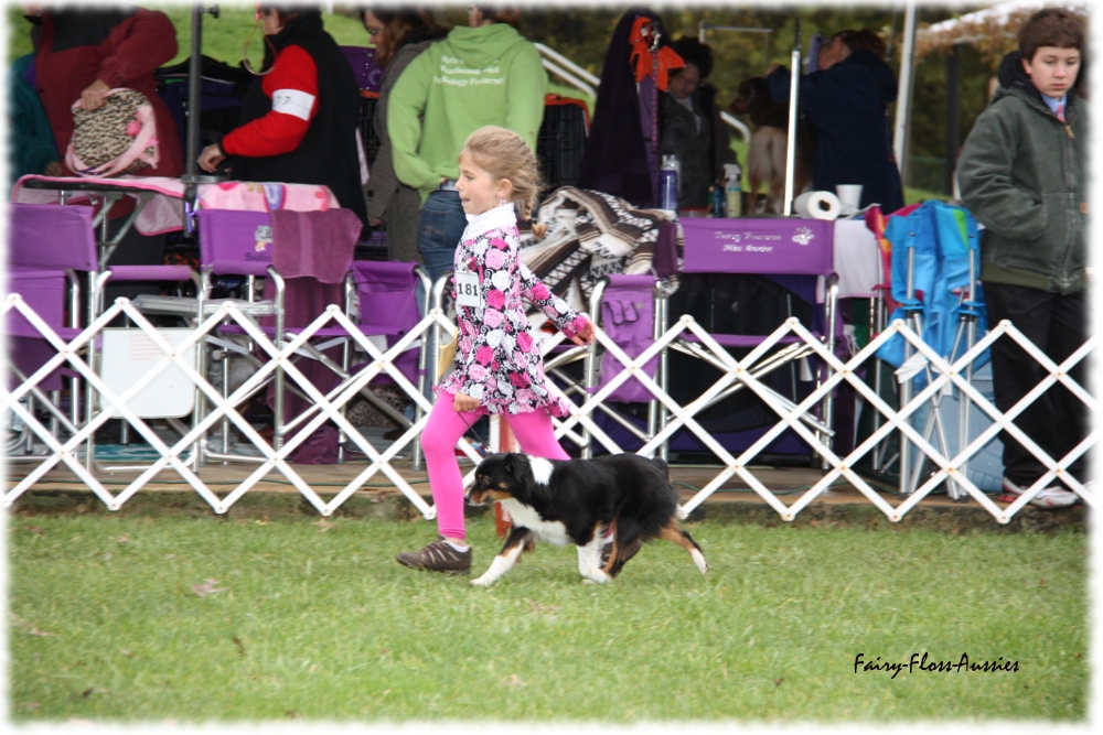 Mini Aussie Nationals Mini Aussie Nationals