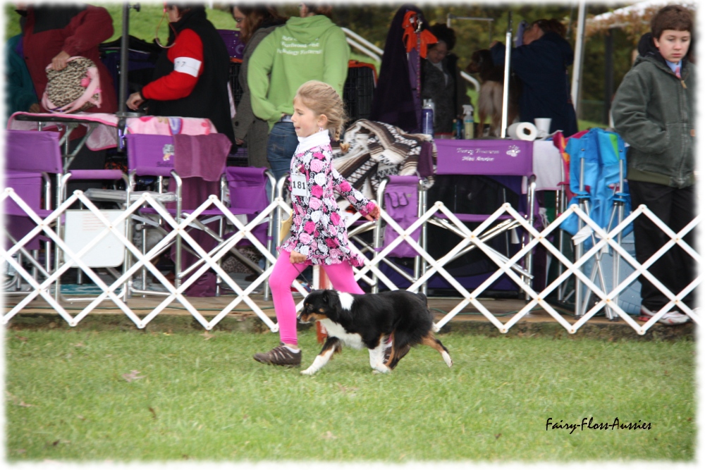 Mini Aussie Nationals