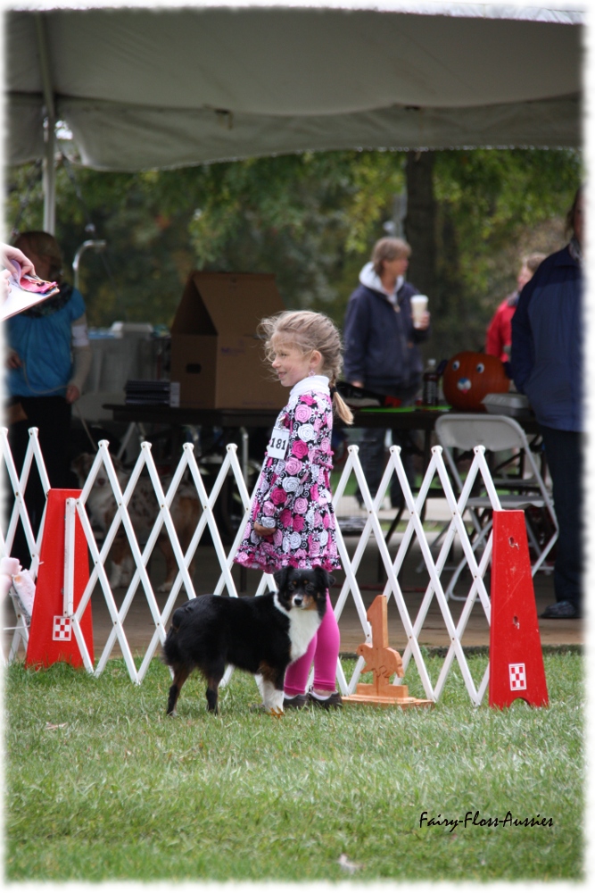 Mini Aussie Nationals Mini Aussie Nationals