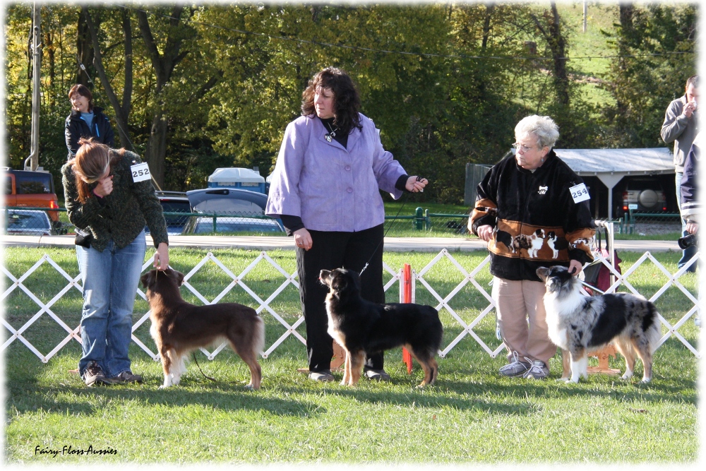 Mini Aussie Nationals Mini Aussie Nationals