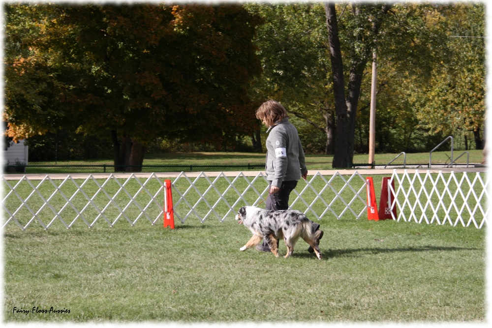 Mini Aussie Nationals