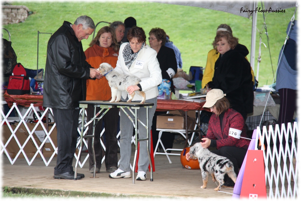 Mini Aussie Nationals Mini Aussie Nationals
