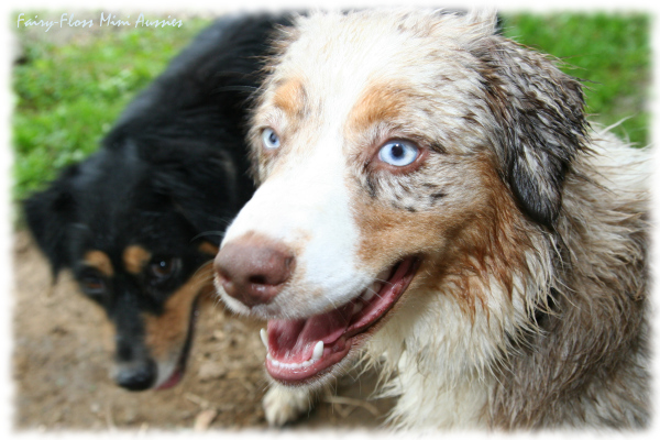 Hazel & Beauty