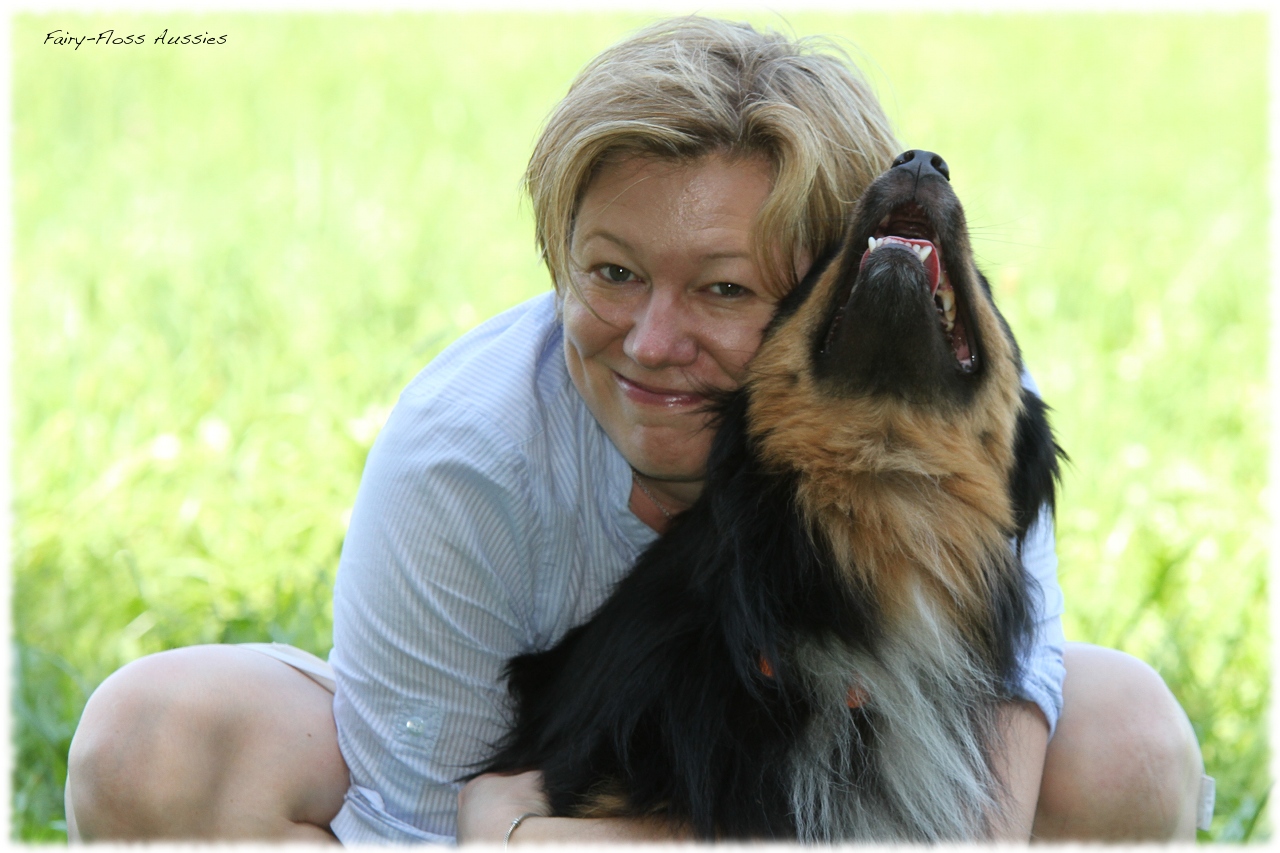 Mini Aussie Welpentreffen 2012